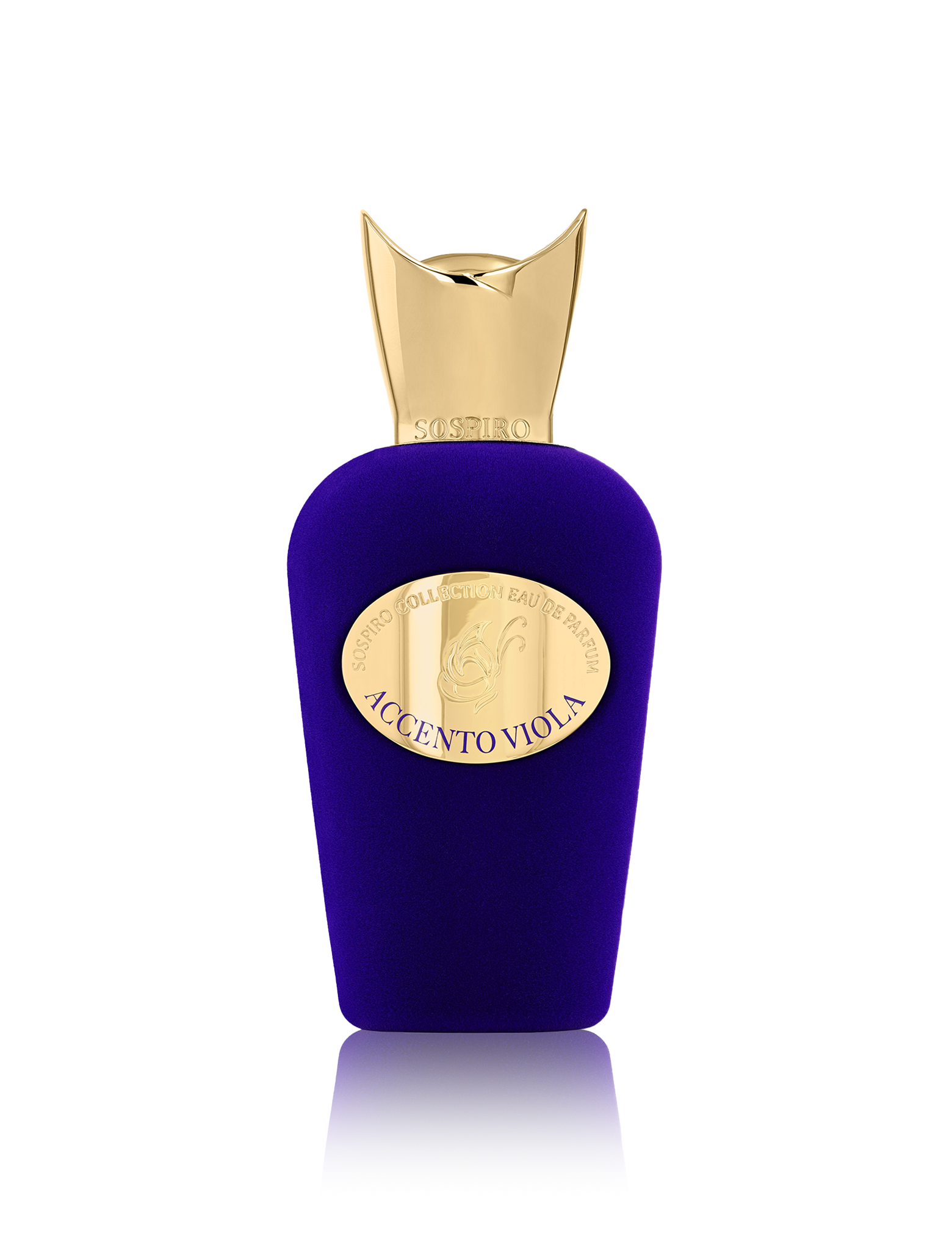 Accento Viola 100ml